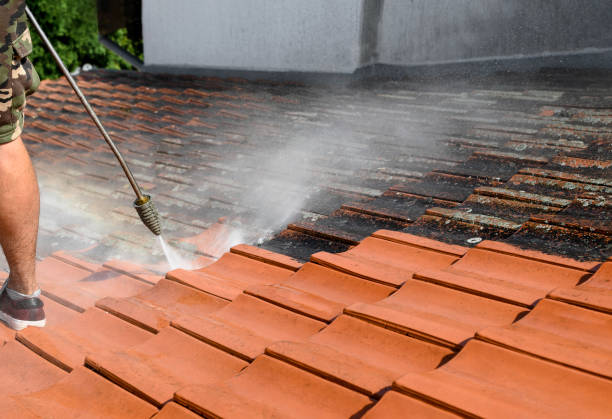 Best Pressure Washing Driveway  in Columbia, KY